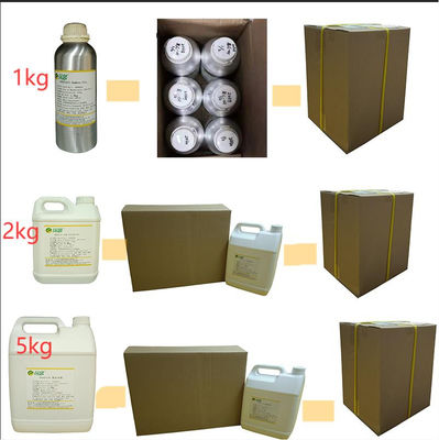 Original Brand Perfume Fresh Long Lasting Perfume High End Perfume Oil Supplier