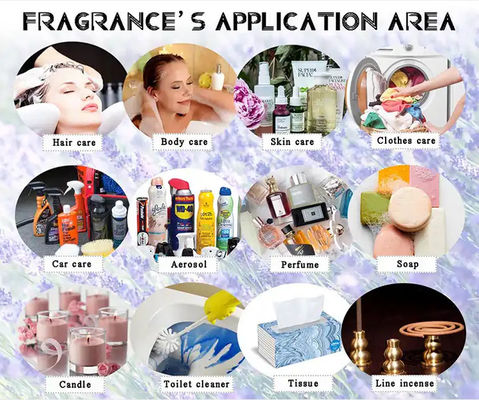 Original Brand Perfume Fresh Long Lasting Perfume High End Perfume Oil Supplier