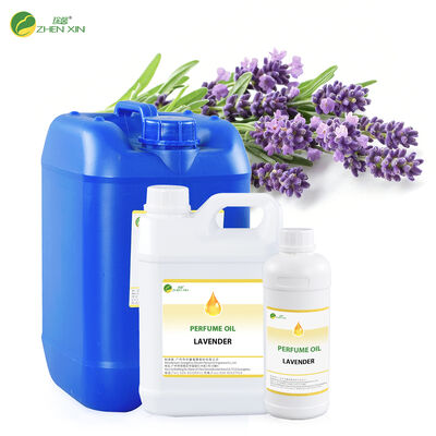 Designer Dubai Brand Perfume Fragrance Wholesale High Quality Arabic Perfume Essential Oil Branded Bulk Arabian Perfume Oil